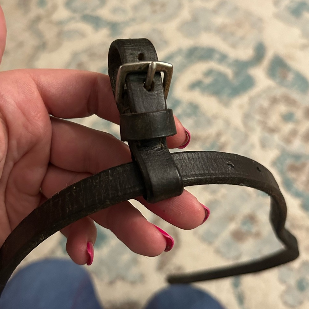 Flash Noseband Piece